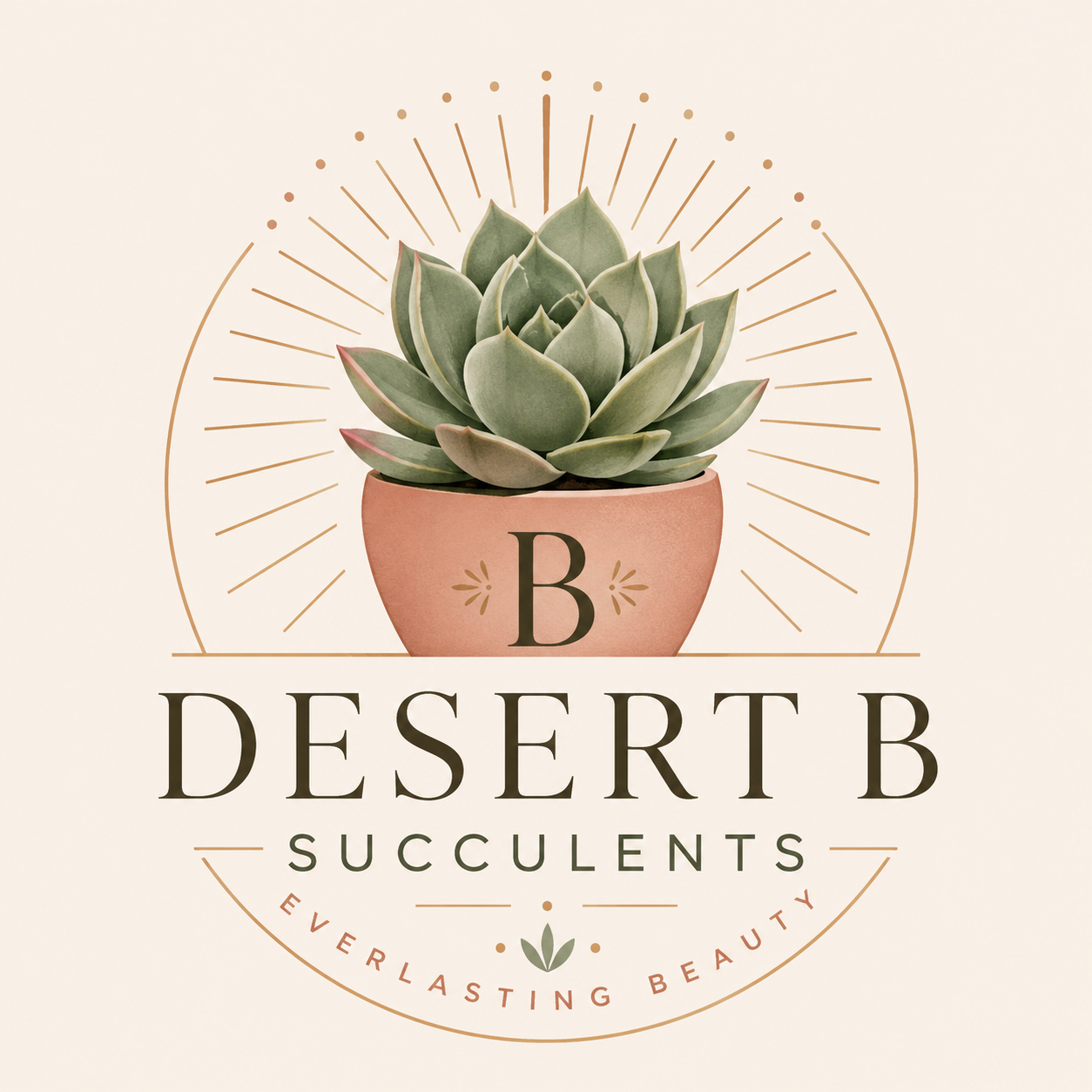 Desert B Succulents